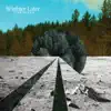 Brighter Later - The Woods - Single